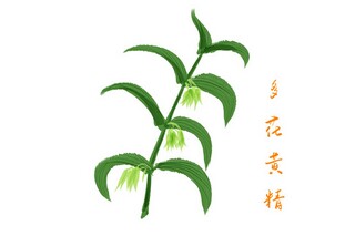 美文摘抄及赏析简短_美文摘抄鉴赏