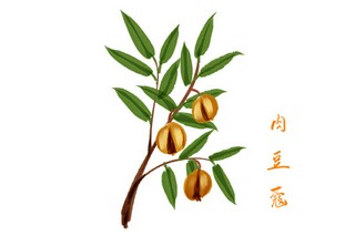 夏至习俗谚语_夏至民俗谚语