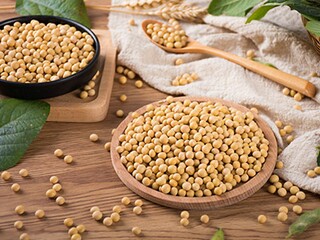 中秋节的来历简短英语_中秋节的来历简短英语翻译