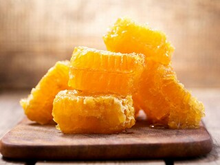 作文狗是人类的朋友（狗是人类的朋友350字作文）