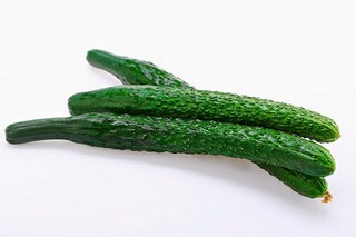 赞美春天美景的词语（赞美春天景色的诗句赞美春天的词语）