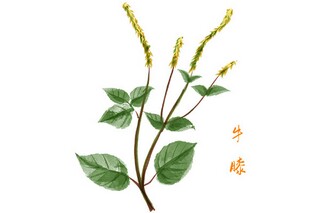 多措并举做好森林防火村简报（村森林防火工作简报）
