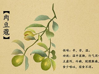 描写春天的优美段落摘抄_描写春天的优美句段有哪些