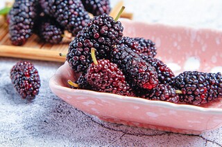 北海作文600字（北海的作文）