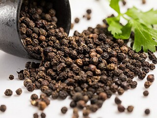 春晚日记（春晚日记400字左右）