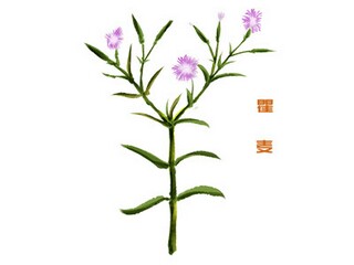 跨年诗意文案（跨年诗意文案短句）