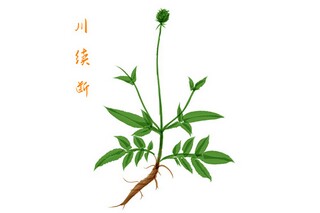 中学生感恩亲情作文-我的朋友作文（感恩亲情类作文）