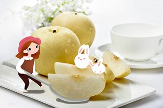 正规版本实验室租赁合同（高校实验室租赁）