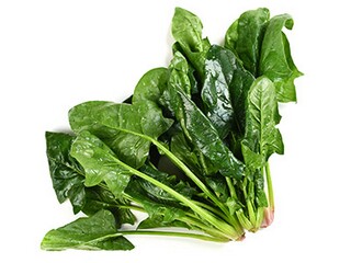 幻城读后感_《幻城》读后感