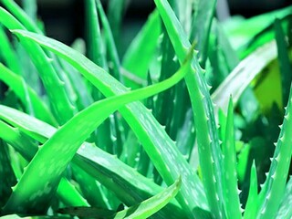 江南的古韵诗词_江南的古韵诗词是什么