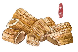 家庭亲情作文_亲情类作文800字