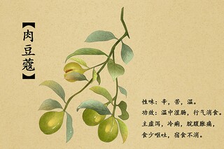 书包的话作文_书包的写话