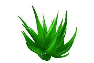 这个午后我想写诗的现代诗_这个午后我想写诗的现代诗句