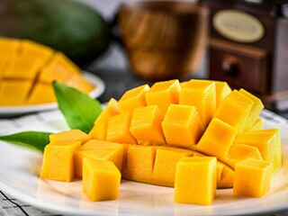 包饺子活动策划书（包饺子活动内容简介）