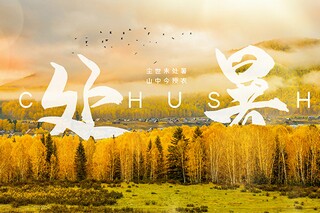 珍惜彼此的唯美句子（珍惜彼此的文案）