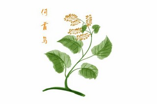 元旦发给同事同学老师的祝福语