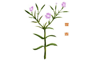 月亮诗句座右铭（月亮诗句座右铭大全）