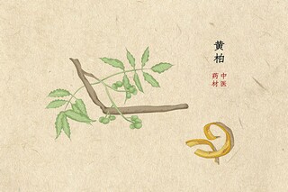 见字如面的美文_见字如面作文800议论文