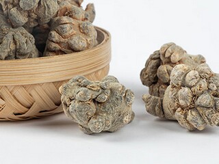 处暑是几月几号_大暑是几月几号