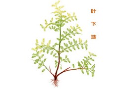 销售试用期转正工作总结_销售试用期工作总结