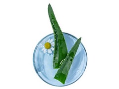 电子厂优秀员工的总结