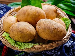 初一学生自我鉴定最新(本科自我鉴定300字)