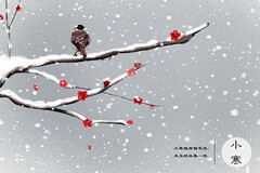 学校减负工作计划_学生减负工作计划