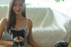 女儿的故事读书笔记摘抄_《女儿的故事》的优秀读书心得