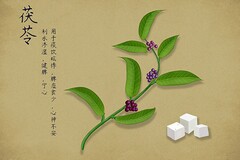 冬至包饺子策划书主题_最新冬至饺子节活动策划书