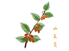 学生安全承诺书家长的承诺