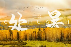 我家的小猫作文_我家的小猫作文350字左右