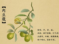 台风停课通知(台风停课通知培训机构)