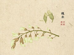 浙江省房屋租赁合同_浙江省房屋租赁合同