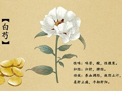 立冬的说说(立冬大风的说说)
