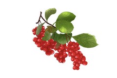 订购合同(订购合同模板)