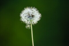私人工程合同(私人与公司签工程劳务合同有效吗)
