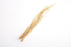 教师节感言小视频