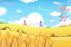周记一个学期的总结_周记一个星期的工作总结