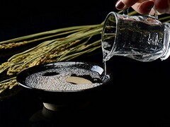 场地租赁合同最长期限