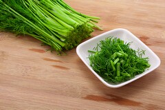 与公司签订雇佣合同