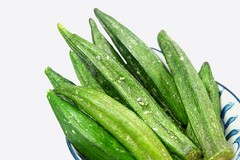 房屋租赁合同下载免费