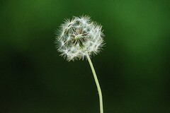 防落水心得体会一年级