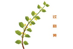 巨人的花园语文说课稿(巨人的花园说课视频)