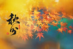 沙子购销协议怎么写_最简单沙子购销合同