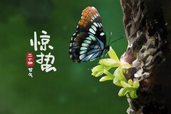 北京市房屋出租合同