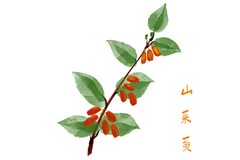 挖掘机租赁合同正式版(挖掘机租赁合同图片)