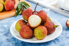 劳动合同管理制度包括什么