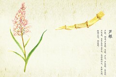 临聘教师辞职申请书_简洁的教师辞职申请书