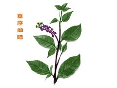 上海试用期合同_解除试用期合同