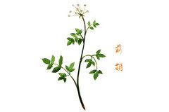 酒店采购年终总结及明年工作计划